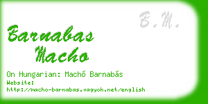 barnabas macho business card